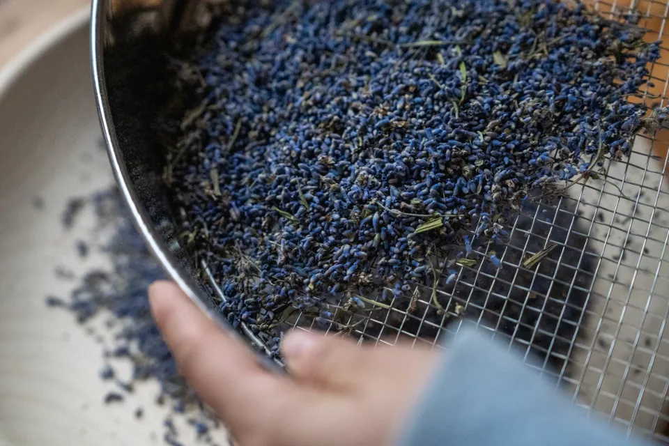 le-erbe-di-cenise-hero